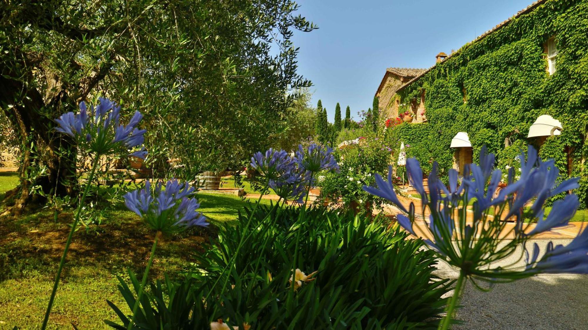 Agriturismo La Sovana Sarteano Eksteriør billede