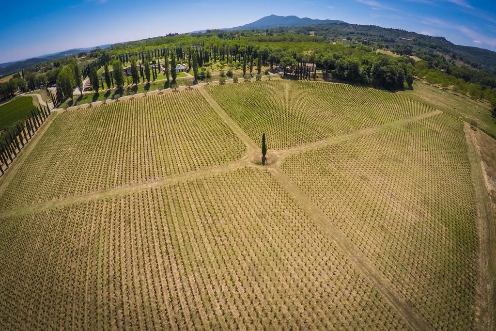 Agriturismo La Sovana Sarteano Eksteriør billede